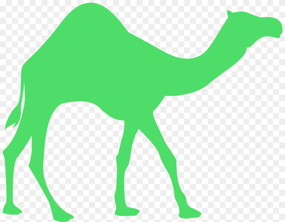 Dromedary Camel Silhouette, Animal, Mammal, Bear, Wildlife Free Png Download