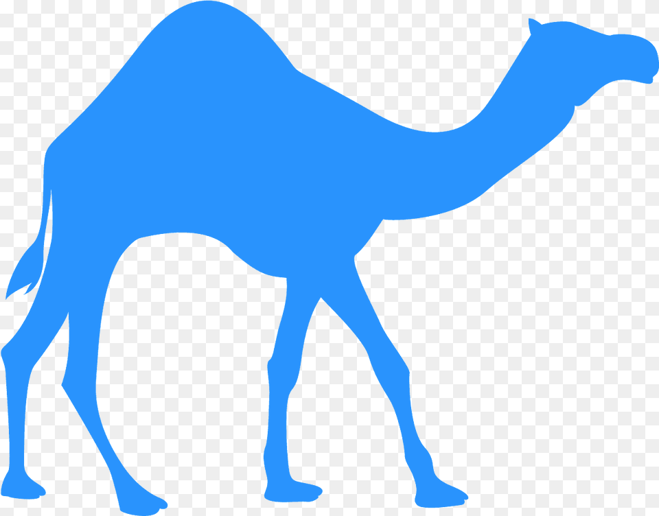 Dromedrio Silhueta, Animal, Camel, Mammal, Adult Free Png