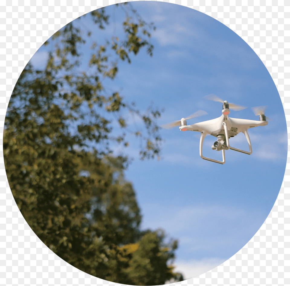 Drone, Animal, Bird, Flying, Aircraft Free Png Download