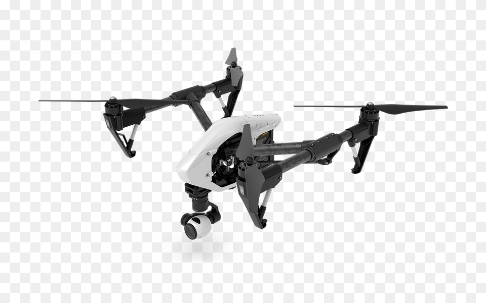 Drone, Animal, Bird, Flying, Aircraft Png