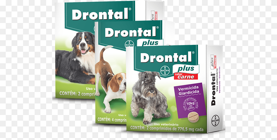 Drontal Plus Carne Remedio De Verme Para Cachorro, Animal, Canine, Dog, Mammal Free Png Download