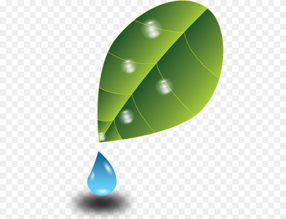 Drop, Droplet, Leaf, Plant, Disk Free Png