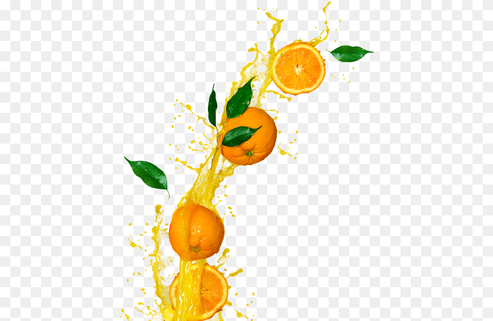 Drop Orange Juice Orange Juice, Citrus Fruit, Food, Fruit, Plant Free Png