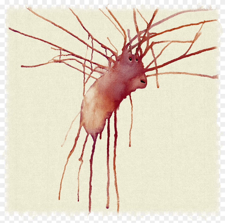 Dropengine Painting, Animal, Food, Invertebrate, Sea Life Png