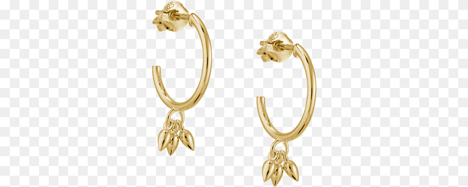 Droplet Hoop Earrings Earrings, Accessories, Earring, Gold, Jewelry Free Transparent Png