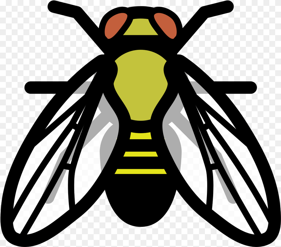 Drosophila Melanogaster Clip Art, Animal, Bee, Insect, Invertebrate Png Image