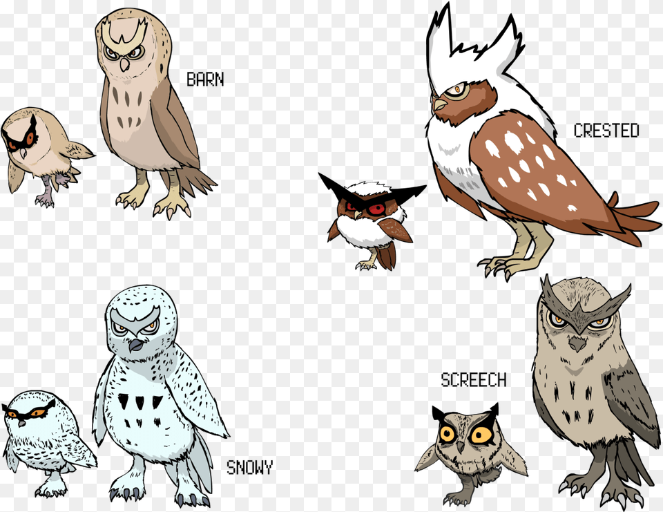 Drowzee Evolution Level Download Pokemon Variations Noctowl, Animal, Bird, Baby, Person Free Transparent Png