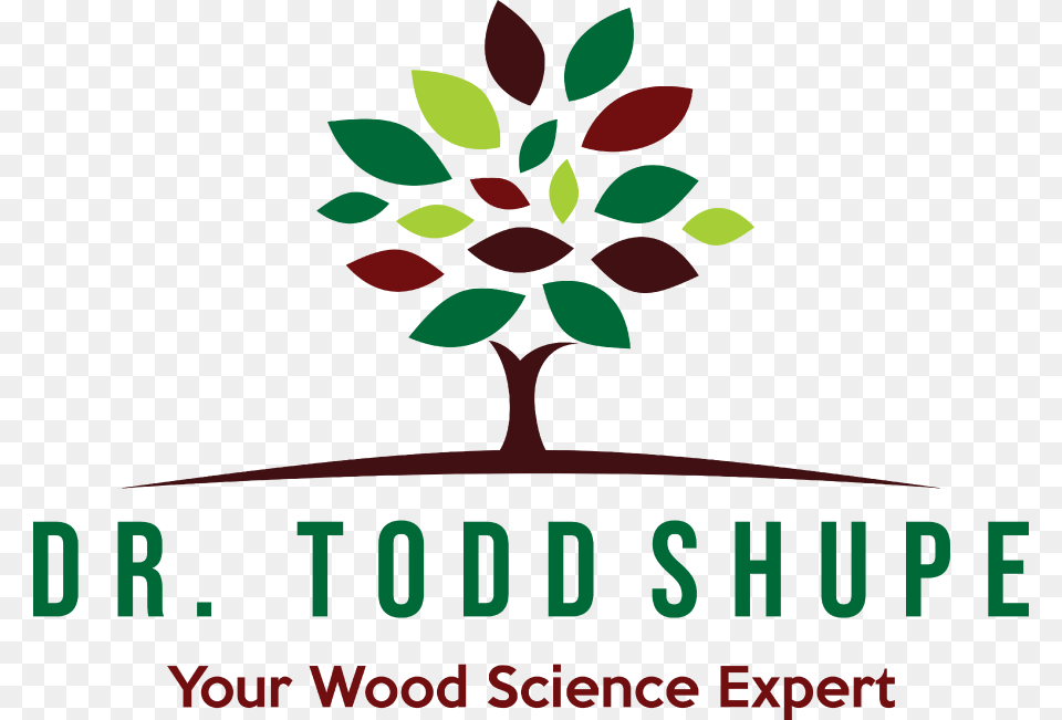 Drtoddshupe Com Dedication To The Family, Art, Graphics, Tree, Leaf Free Transparent Png