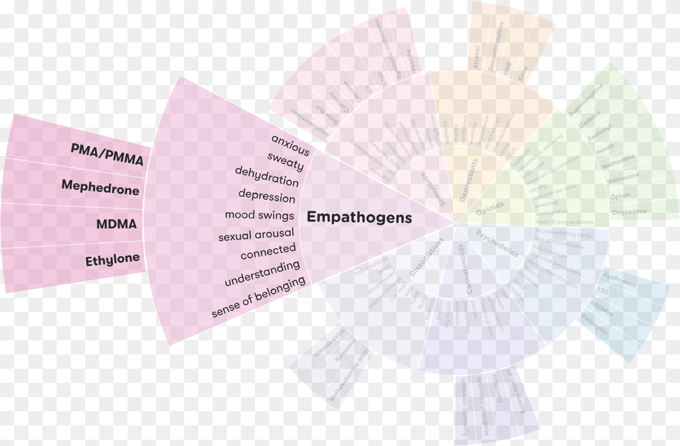 Drug Wheel Segment Construction Paper, Business Card, Text Png Image