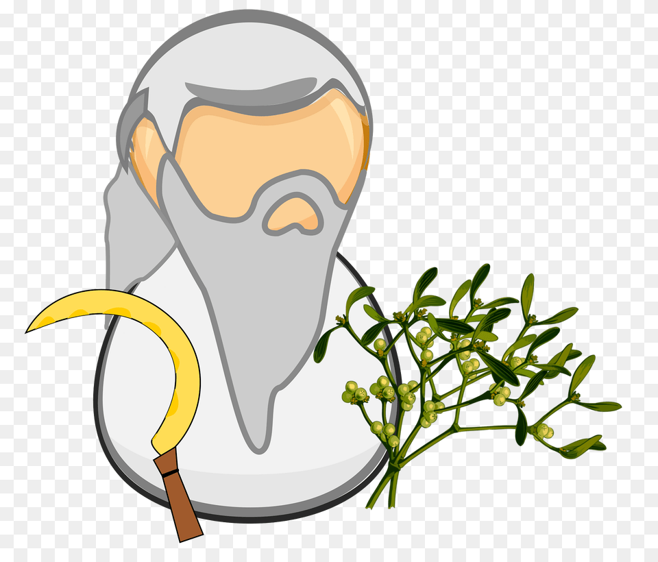 Druid Clipart, Animal, Beak, Bird, Plant Free Png Download