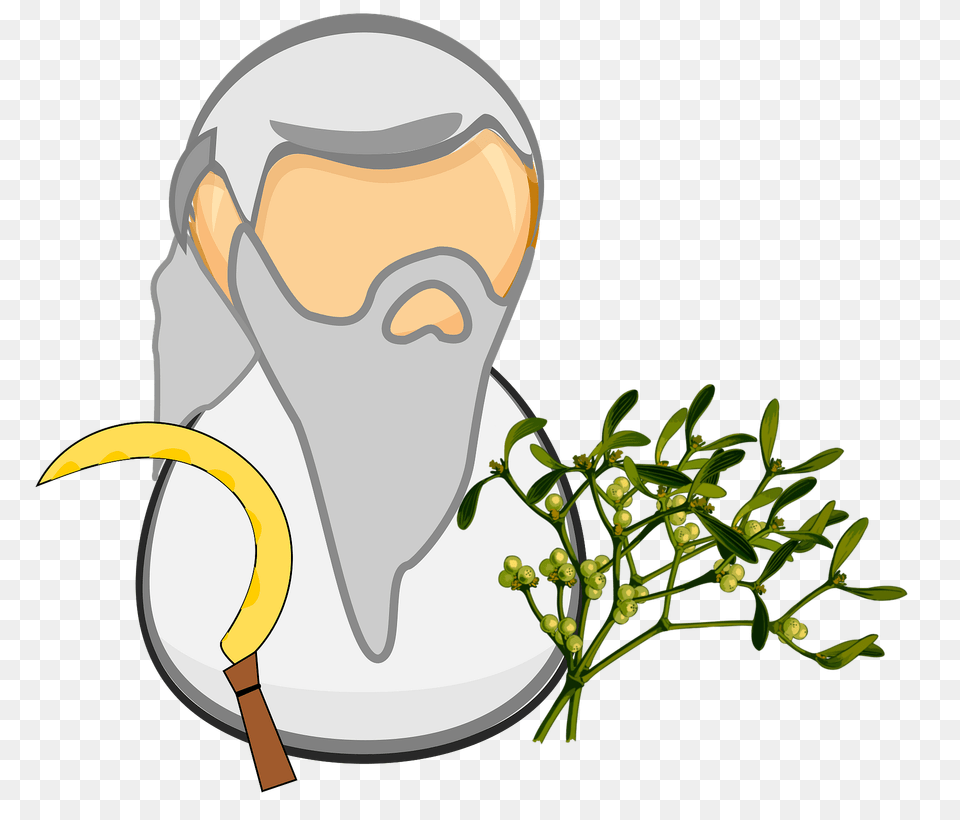 Druid Clipart, Animal, Beak, Bird, Plant Png