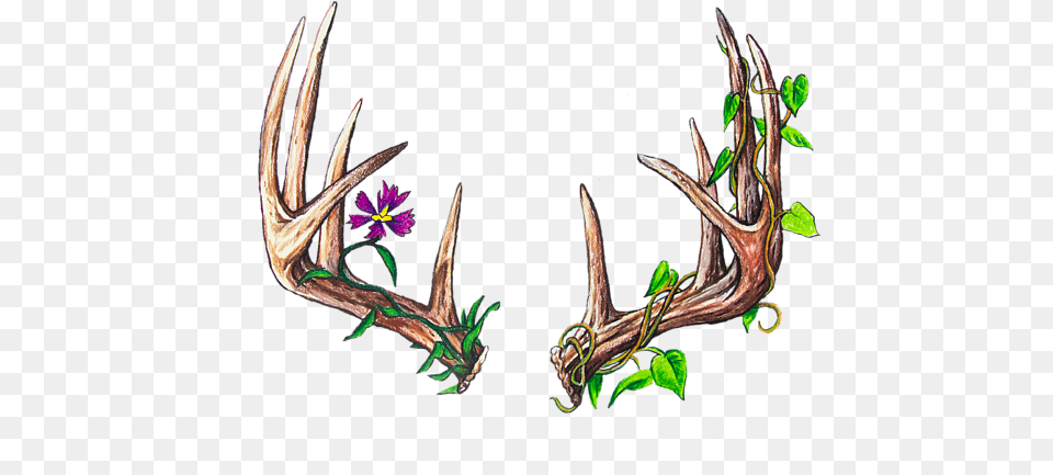 Druid Galaxy S4 Case Antler Drawing Free Transparent Png