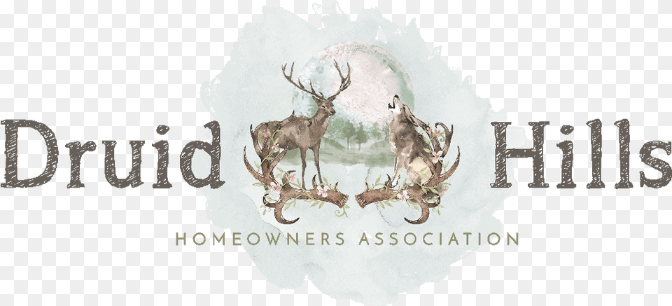 Druid Hills Hoa Florissant Colorado 2015 Debeschaving, Animal, Antler, Wildlife, Deer Png Image