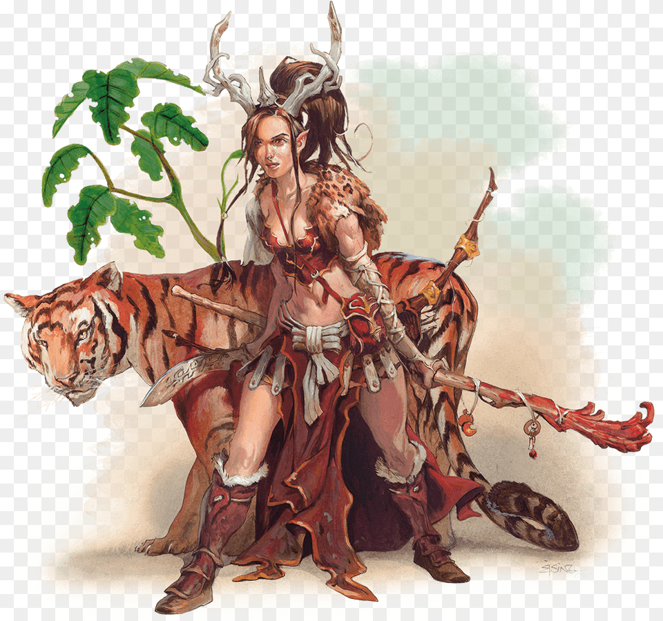 Druid Leather Armor, Adult, Person, Female, Woman Png Image