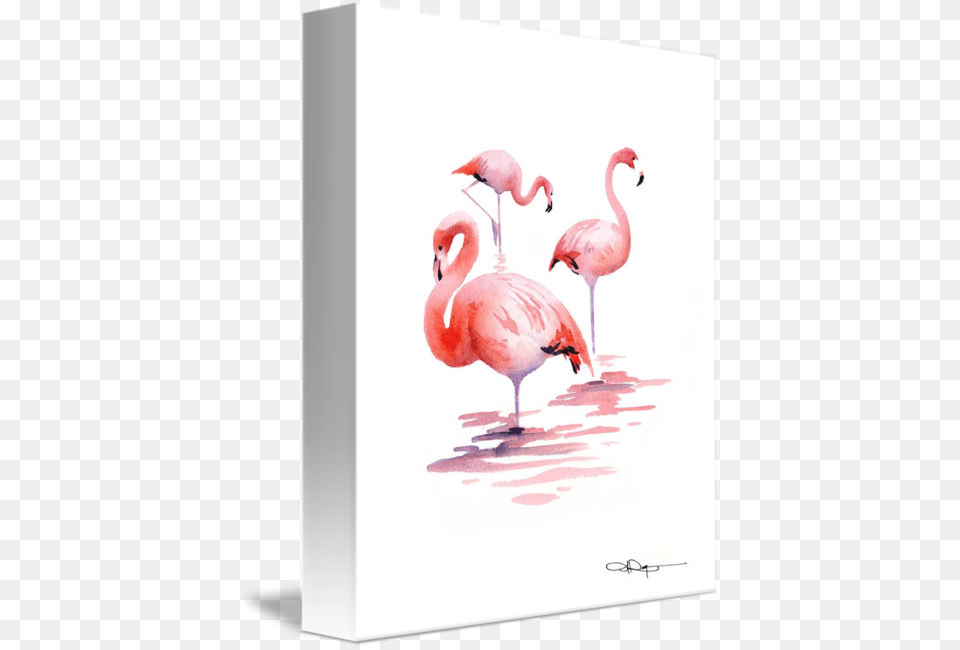 Druki Artystyczne Flamingos Abstract Watercolor Painting Flamingo, Animal, Bird Free Transparent Png
