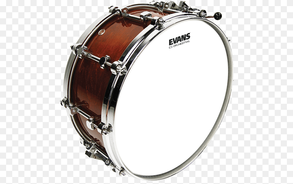 Drumhead, Drum, Musical Instrument, Percussion Free Transparent Png