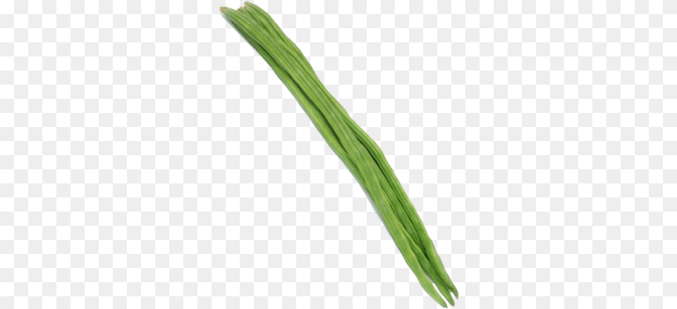 Drumstick Drumstick Vegetable, Bean, Food, Plant, Produce Free Transparent Png