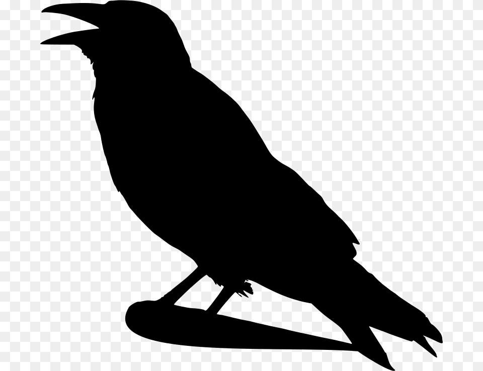 Drunken Duck Crow Silhouette, Gray Free Png