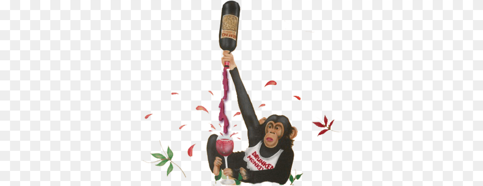 Drunken Monkey Si Drunken Monkey, Person, Juggling Png Image