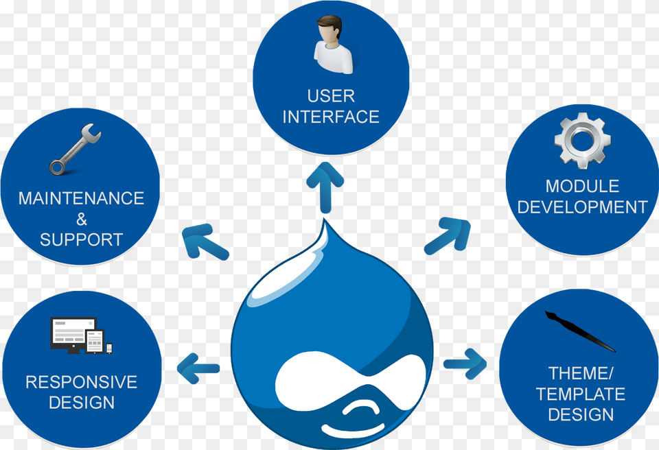 Drupal Web Development Services In Nigeria, Adult, Female, Person, Woman Free Png Download