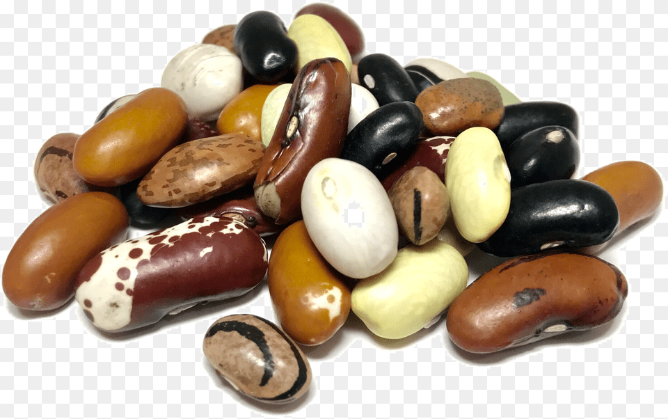 Dry Beans Png Image