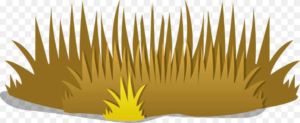 Dry Clipart Group Dry Grass Clip Art, Plant, Vegetation, Outdoors Free Png