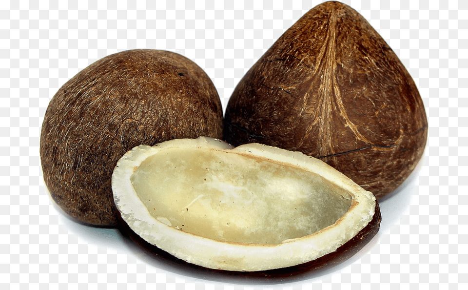 Dry Coconut, Food, Fruit, Plant, Produce Free Png Download