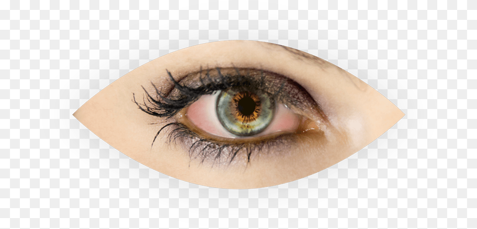 Dry Eyes Eye, Contact Lens, Adult, Female, Person Png Image