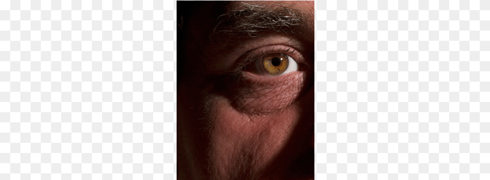 Dry Eyes Macaque, Adult, Male, Man, Person Free Png Download