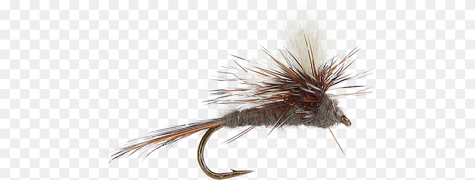 Dry Flies And Premium Dry Flies Adams, Animal, Bird Free Transparent Png