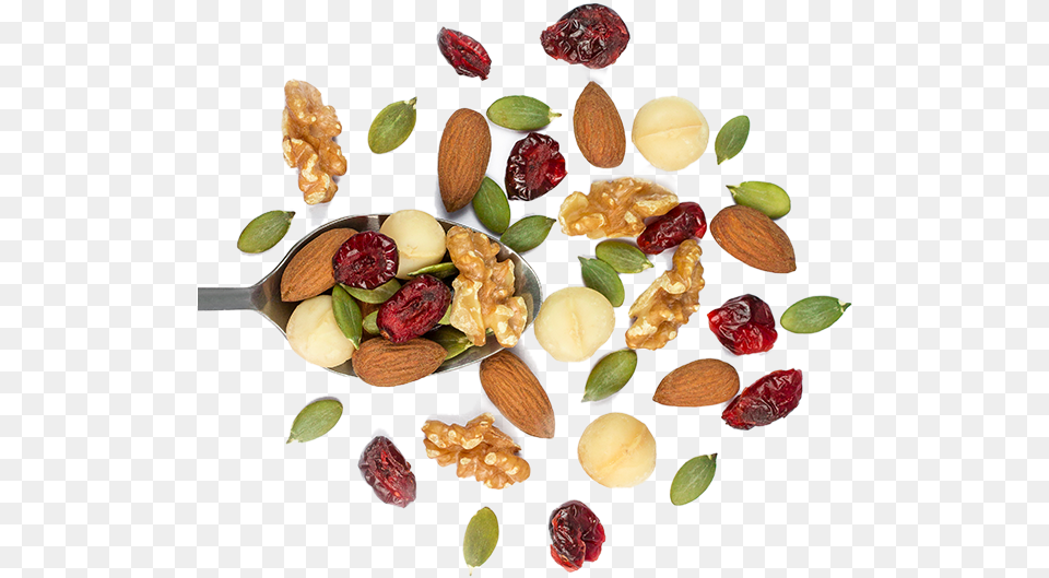 Dry Fruits, Food, Produce, Plant, Nut Png Image