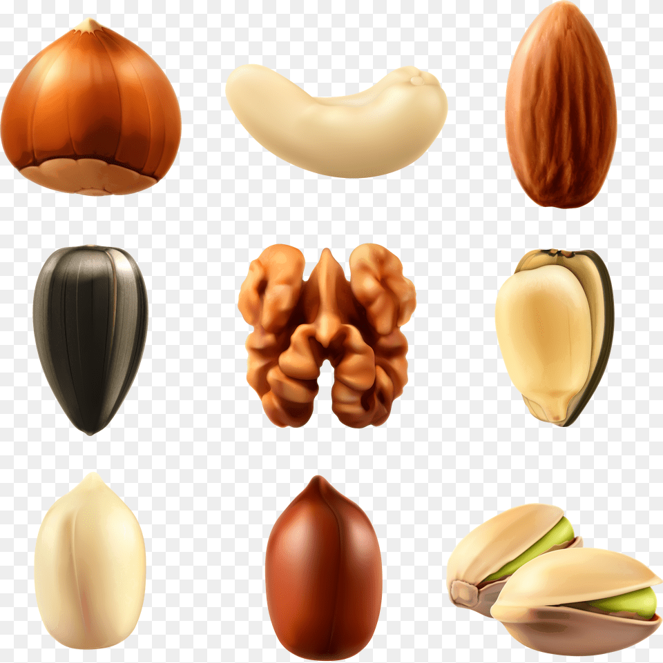 Dry Fruits Vector Download Nuts Vector Free Png