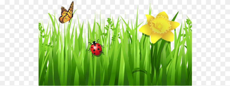 Dry Grass Clipart Dead Grass Flowers With Grass Hd, Plant, Petal, Daffodil, Flower Free Png Download