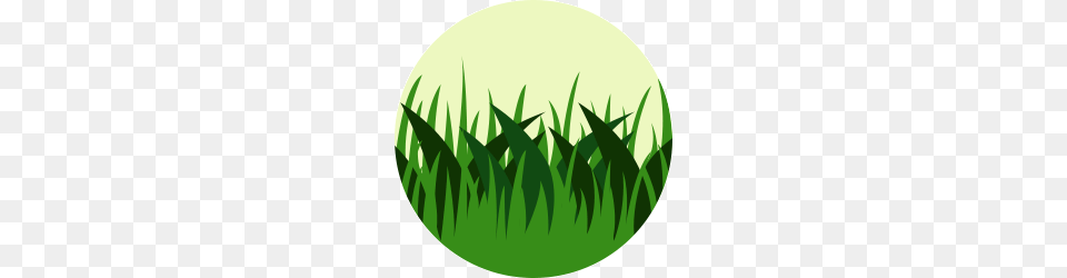 Dry Grass Clipart Short Grass, Green, Leaf, Plant, Vegetation Png Image