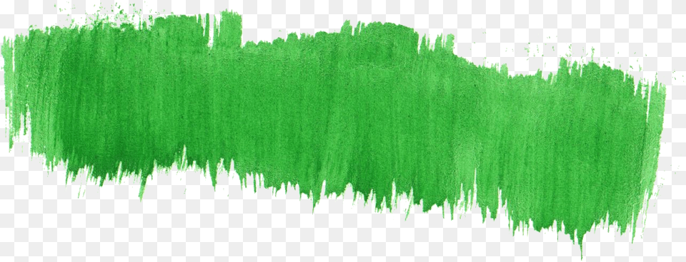Dry Green Watercolor Brush Stroke Green Grass Watercolor, Plant, Tree, Vegetation Png