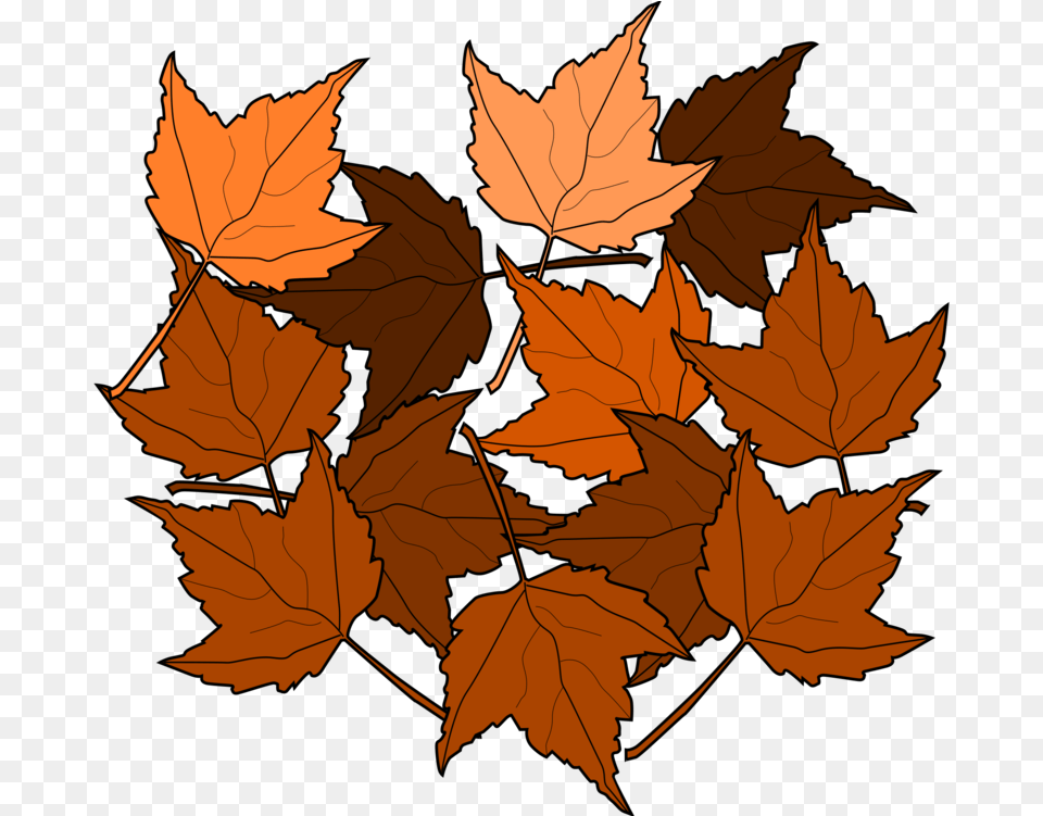 Dry Leaves Clip Art, Leaf, Plant, Tree, Maple Free Png Download