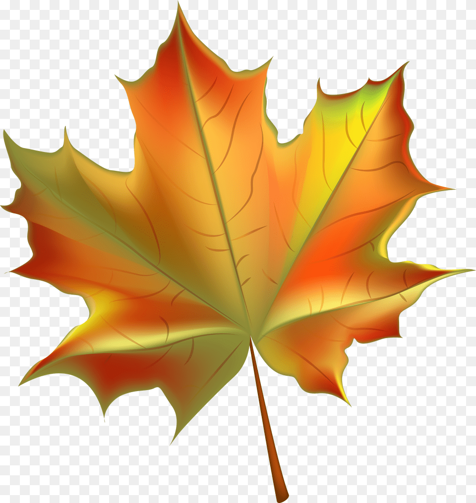 Dry Leaves Falling Free Png Download