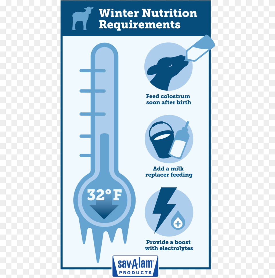 Dry Milk Infographic, Advertisement, Spoon, Cutlery, Poster Png Image