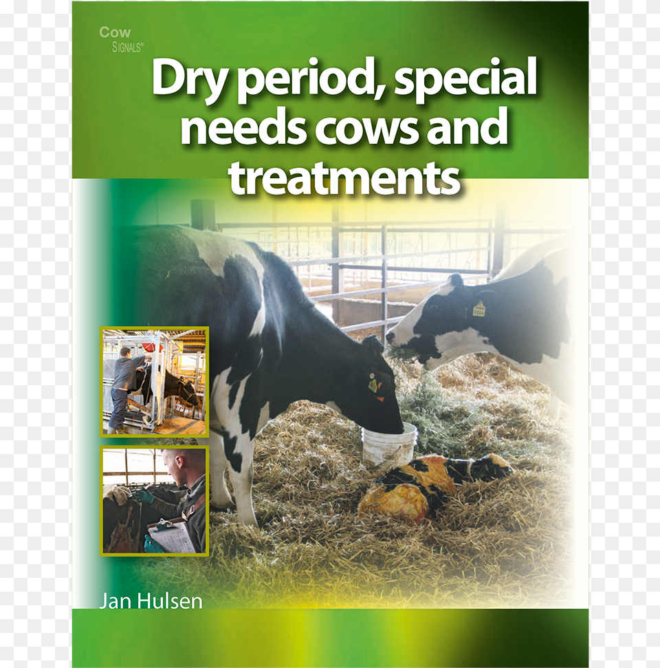 Dry Period Special Needs Cows And Treatments Brings Poster, Animal, Cattle, Cow, Mammal Free Transparent Png