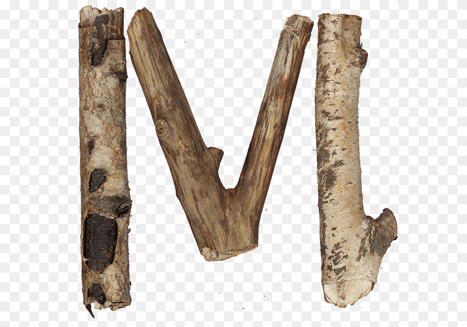 Dry Twigs Font Wood Letters M, Driftwood, Plant, Tree Free Png Download