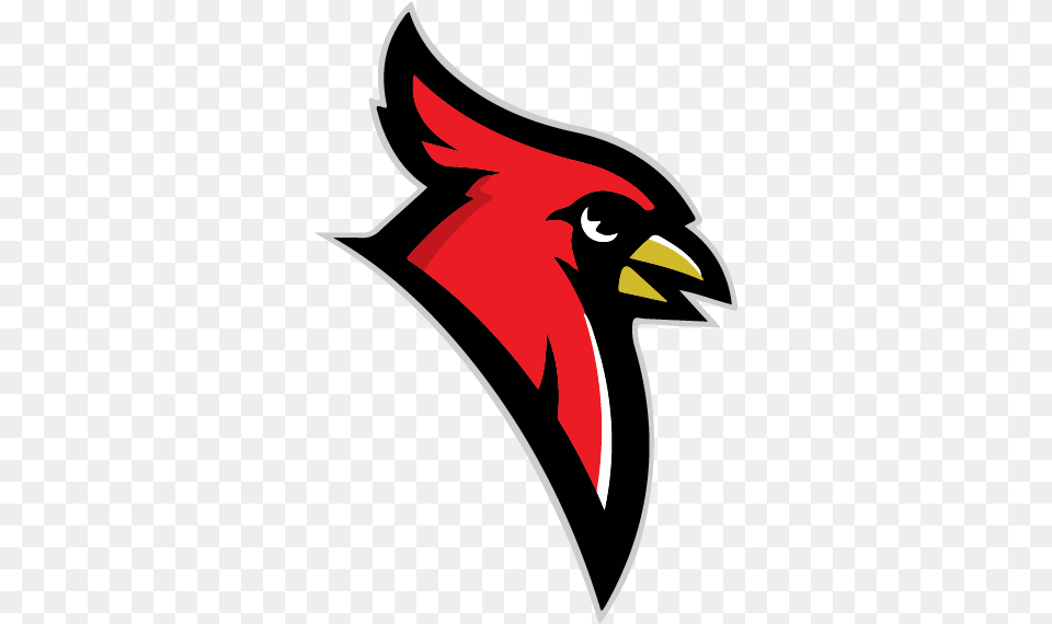 Dryden Community Schools Wallingford Cardinals Softball, Animal, Beak, Bird, Adult Free Png Download