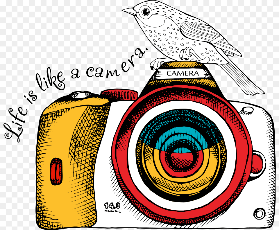 Dslr Camera Dslr Vector, Photography, Animal, Bird, Digital Camera Free Transparent Png