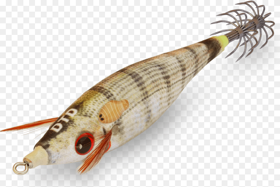 Dtd Real Fish Bukva, Animal, Sea Life, Perch Free Transparent Png