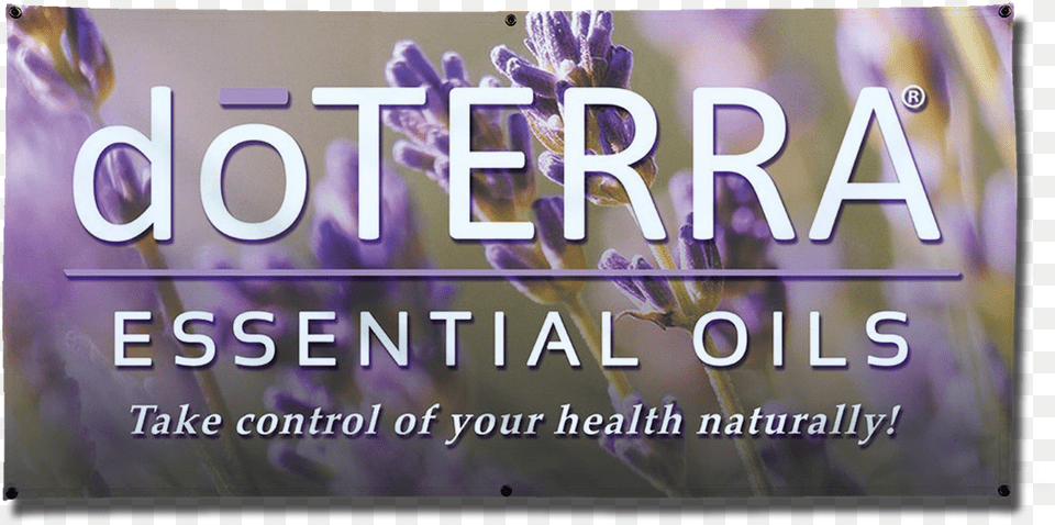 Dterra Essential Oils Banners Doterra Essential Oil Banner, Purple, Flower, Lavender, Plant Png