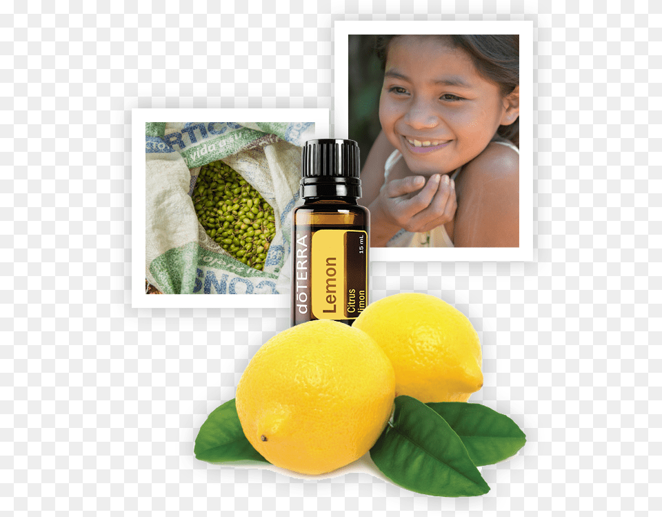 Dterra Lemon Oil Doterra Geranium Essential Oil 15 Ml, Produce, Plant, Citrus Fruit, Food Free Png