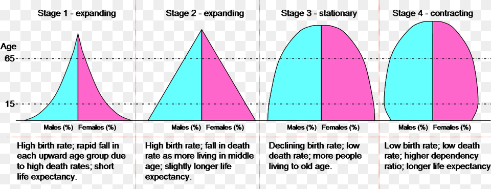 Dtm Pyramids Demographic Transition Model Stages Population Pyramids, Triangle, Sphere Free Png