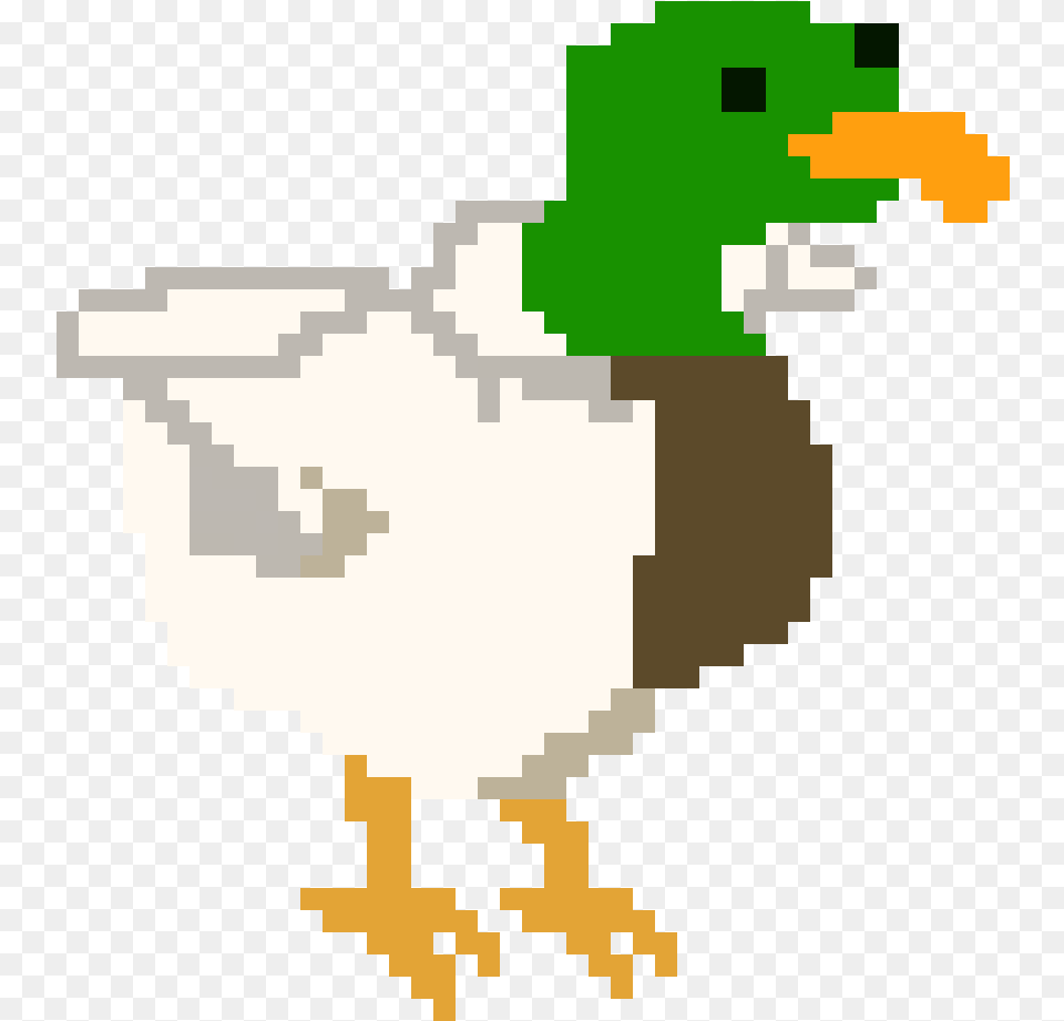 Duck, Animal, Bird Png Image