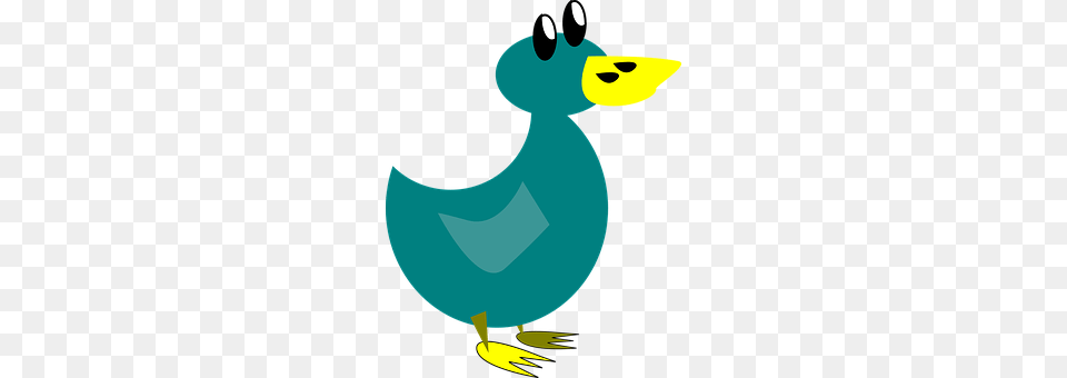 Duck Animal, Beak, Bird, Face Png Image