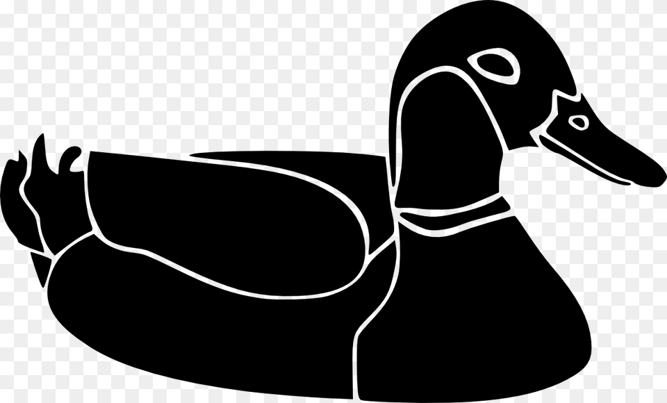 Duck, Animal, Bird, Adult, Person Png