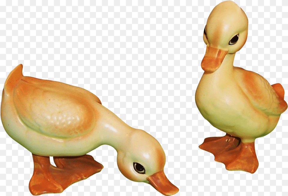 Duck, Animal, Toy, Doll, Bird Free Transparent Png